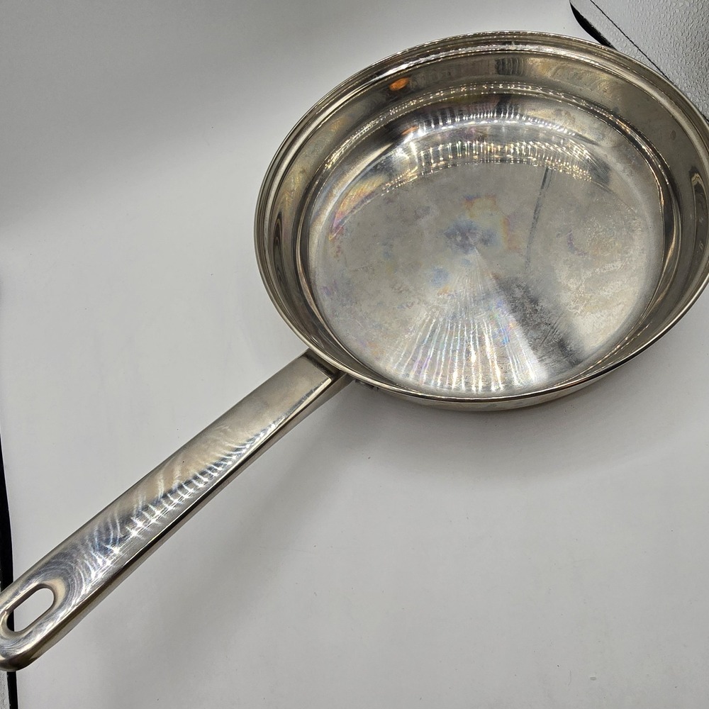 Ecolution Stainless Steel 9‎ 1/2 Inch Fry Pan No Lid